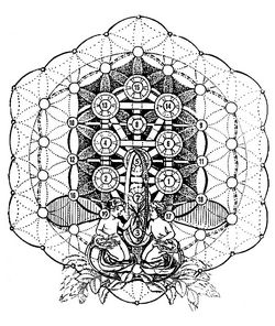 Magisch 19 Hexagram - Bad Van Bethesda - Levensboom - Kabbalah